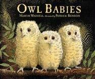 Cover of Owl Babies